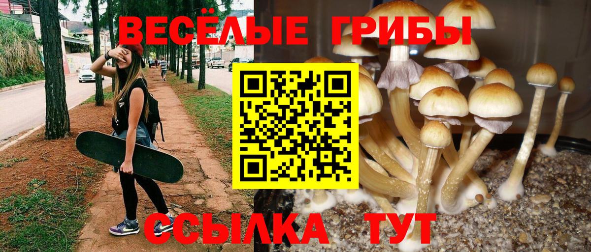 Галлюциногенные грибы мухоморы Белово